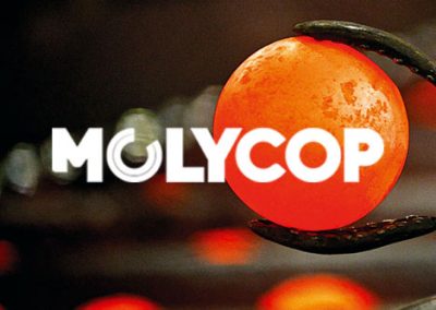 MOLYCOP Careers